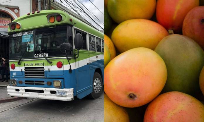 Transporte, combustibles y mangos son los que más aumentaron de precio en marzo, según el INE