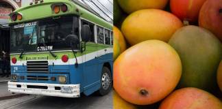 Transporte, combustibles y mangos son los que más aumentaron de precio en marzo, según el INE
