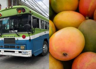 Transporte, combustibles y mangos son los que más aumentaron de precio en marzo, según el INE