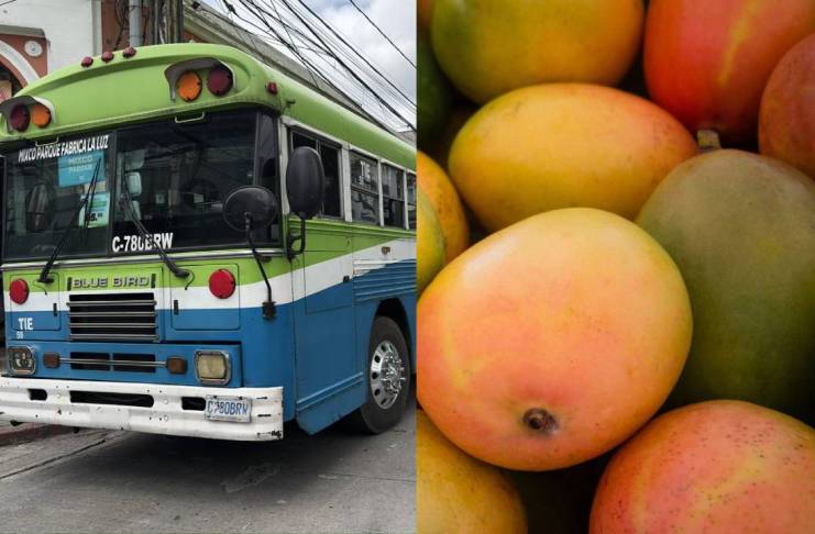 Transporte, combustibles y mangos son los que más aumentaron de precio en marzo, según el INE