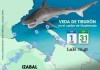 Del 1 de mayo al 31 de agosto, el MAGA ha anunciado la veda del tiburón en las Costas del Caribe guatemalteco.
