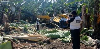 Accidente aéreo de una avioneta de riego en Escuintla. Foto La Hora: Bomberos Voluntarios