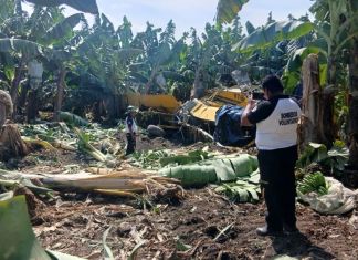 Accidente aéreo de una avioneta de riego en Escuintla. Foto La Hora: Bomberos Voluntarios