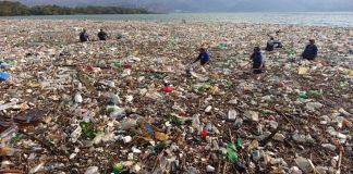 El lago de Amatitlán recibió más de 200 camionadas de residuos derivado de la tormenta del pasado miércoles, según AMSA. Foto La Hora: AMSA