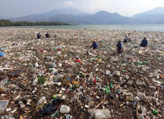 El lago de Amatitlán recibió más de 200 camionadas de residuos derivado de la tormenta del pasado miércoles, según AMSA. Foto La Hora: AMSA