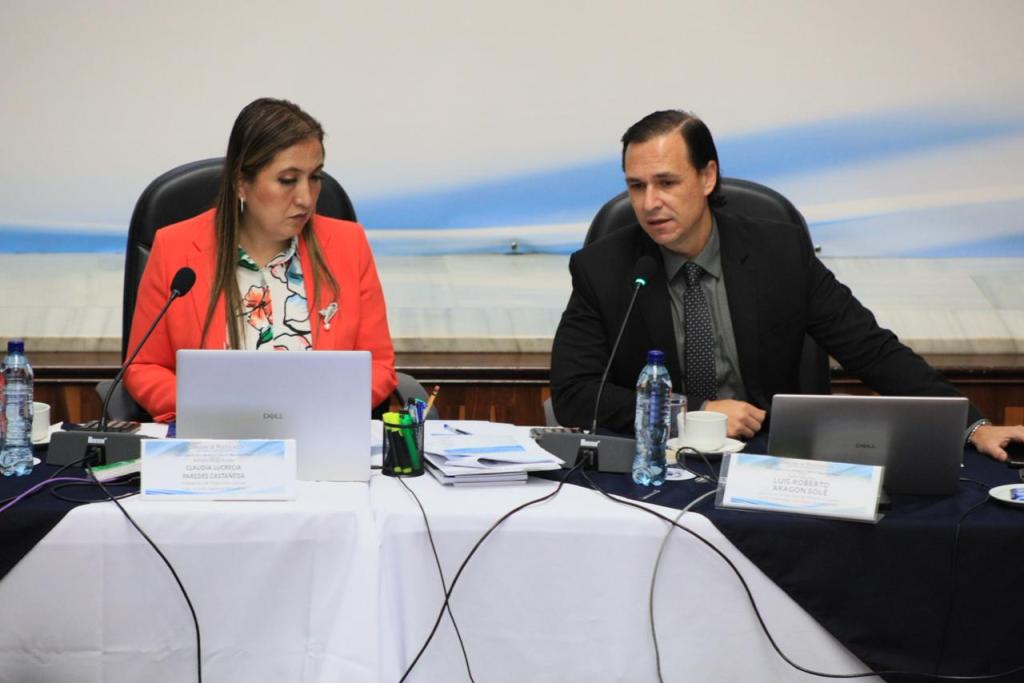 Presidenta de la postuladora para elegir Fiscal General dirige sesión. Foto La Hora: Daniel Ramírez