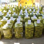 En la sede de la Subdirección General de Análisis de Información Antinarcótica (SGAIA) de la Policía Nacional Civil (PNC) se llevó a cabo la incineración de la droga. Foto La Hora: OJ