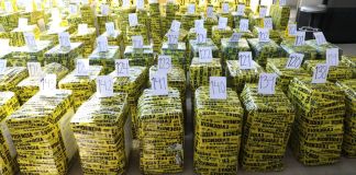 En la sede de la Subdirección General de Análisis de Información Antinarcótica (SGAIA) de la Policía Nacional Civil (PNC) se llevó a cabo la incineración de la droga. Foto La Hora: OJ