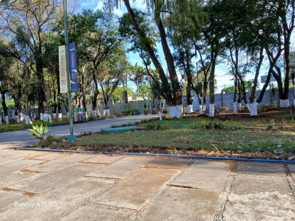 Usac bloqueada y con electores fuera: así se cocina un nuevo fraude de Mazariegos