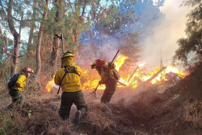 Incendio en Petén atendido por instituciones del sistema Conred. Foto La Hora: Conred