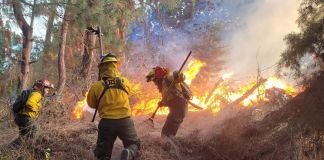 Incendio en Petén atendido por instituciones del sistema Conred. Foto La Hora: Conred