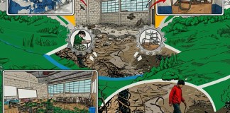 La "Neurobiología del vacío" y la identidad Foto: La Hora