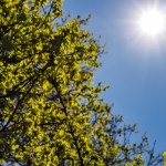 Imágen ilustrativa de los rayos del Sol. Foto La Hora: Freepik.