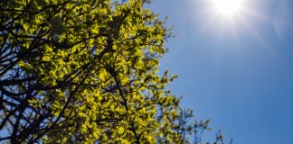 Imágen ilustrativa de los rayos del Sol. Foto La Hora: Freepik.