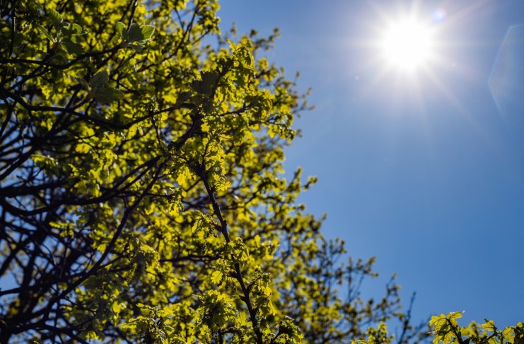 Imágen ilustrativa de los rayos del Sol. Foto La Hora: Freepik.