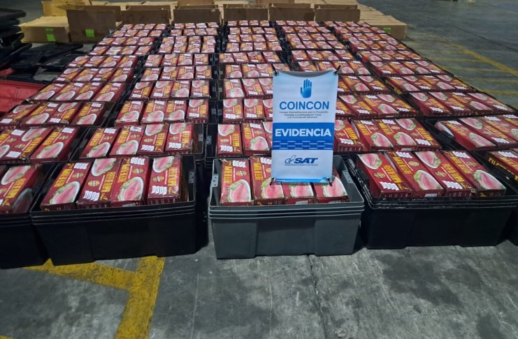 Autoridades decomisaron en San Marcos un cargamento ilegal de mariscos valorado en más de Q74 mil, el cual habría ingresado al país evadiendo controles aduaneros.