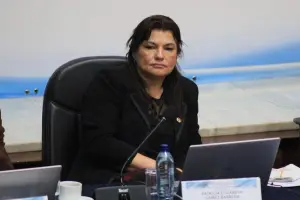 "El pecado de ser juez": las frases de Patricia Gámez que marcan la recalificación de expedientes