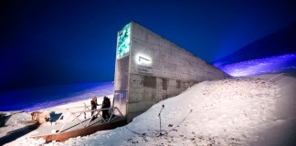 Fotografía de archivo que muestra a representantes de numerosos países y universidades a su llegada con nuevas semillas al Depósito Mundial de Semillas de Svalbard (SGSV), a las afueras de Longyearbyen, en Spitsbergen (Noruega). Foto La Hora: EFE