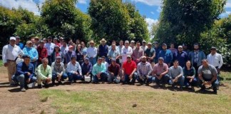El sector aguacatero guatemalteco proyecta sumar hasta 20 mil toneladas adicionales de aguacate Hass hacia 2028.