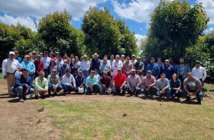 Sector aguacatero proyecta fuerte crecimiento; proyecta ventas de 20 mil toneladas para 2028, pero advierte obstáculos El sector aguacatero guatemalteco proyecta sumar hasta 20 mil toneladas adicionales de aguacate Hass hacia 2028.
