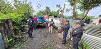 Las fuerzas de seguridad allanan varias viviendas en seguimiento a casos de muertes violentas de mujeres.