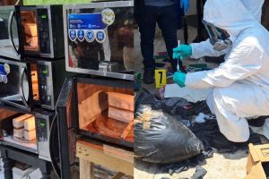 Costales con más de Q1 millón, caballos y 32 vehículos: los hallazgos del narcolaboratorio en zona fronteriza