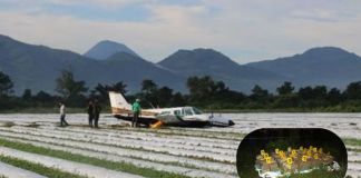Avioneta en donde fueron capturados dos mexinacos que transportaban ilícitos. Foto La Hora: MP