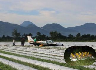 Avioneta en donde fueron capturados dos mexinacos que transportaban ilícitos. Foto La Hora: MP