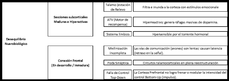 Tabla 1