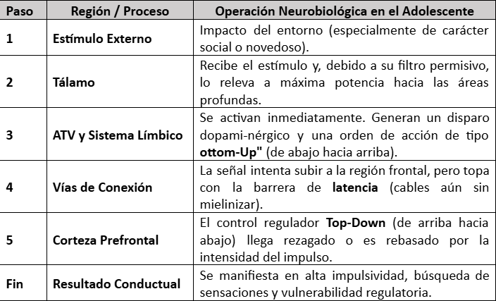 Tabla 2