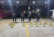 Descubren cargamento millonario de droga oculto en contenedores en Puerto Quetzal que venía de Costa Rica