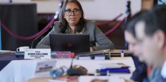 La titular de la Secretaría Nacional de Administración de Bienes en Extinción de Dominio (Senabed), Gloria Guillermo,