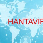 Alerta mundial por hantavirus
