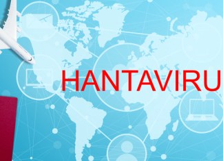 ¿Qué son los hantavirus y qué peligro representan? Alerta mundial por hantavirus