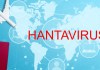 Alerta mundial por hantavirus