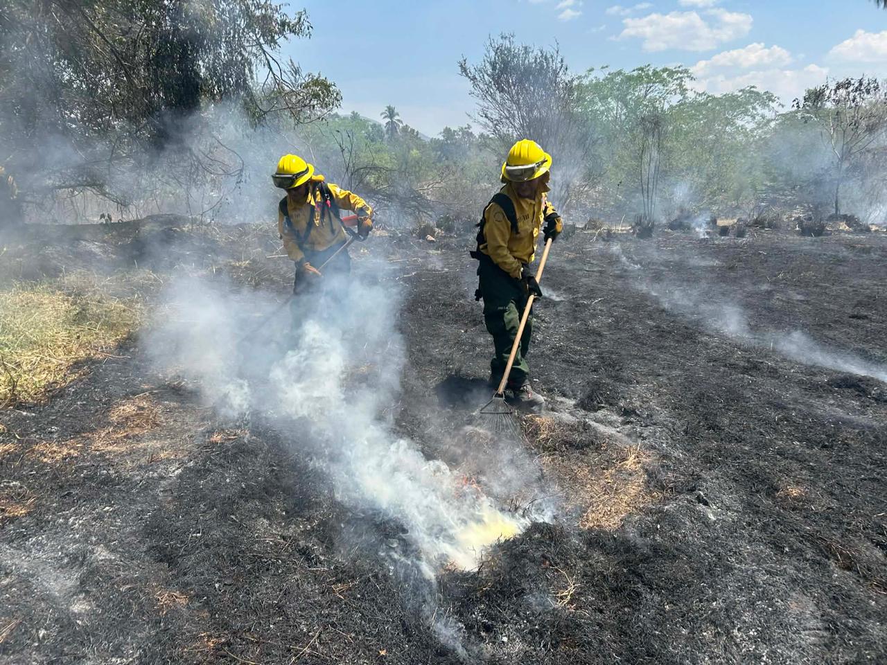 Bomberos forestales de distintas partes del país trabajan en la liquidación de siniestros que afectan los ecosistemas locales.