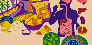 La nanotecnología en la industria alimentaria y la salud