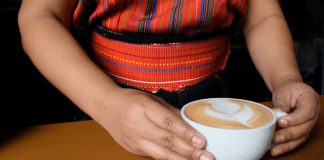 Los mejores cafés de Guatemala y baristas compiten este fin semana en Atitlán