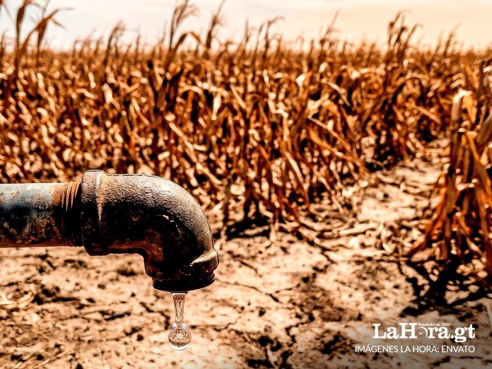 MAGA activa plan para proteger la producción de alimentos. Arte: La Hora.