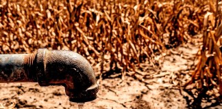 MAGA activa plan para proteger la producción de alimentos. Arte: La Hora.