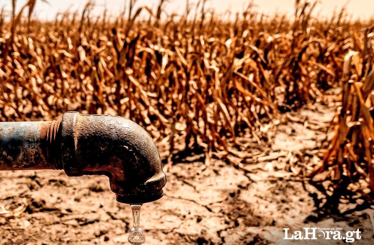 MAGA activa plan para proteger la producción de alimentos ante advertencias de temperaturas extremas y canícula prolongada MAGA activa plan para proteger la producción de alimentos. Arte: La Hora.