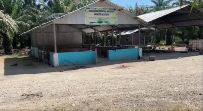 En estos dos espacios ocurrió la masacre de más de diez personas que se dedicaban a trabajar en cultivos de palma en Rigores, Trujillo, Colón, Honduras. Foto La Hora: captura de pantalla video de Lenin Avrego Informa