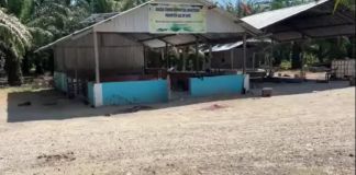 En estos dos espacios ocurrió la masacre de más de diez personas que se dedicaban a trabajar en cultivos de palma en Rigores, Trujillo, Colón, Honduras. Foto La Hora: captura de pantalla video de Lenin Avrego Informa