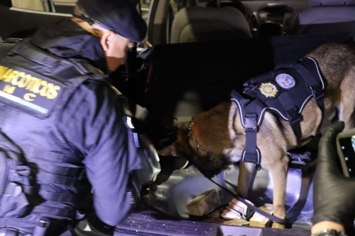 Agentes antinarcóticos y peritos del Ministerio Público participaron en el operativo realizado en la ruta al Pacífico.