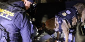 Agentes antinarcóticos y peritos del Ministerio Público participaron en el operativo realizado en la ruta al Pacífico.