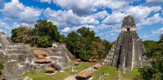 El complejo arqueológico de Tikal cumple 71 años como Parque Nacional Archivo del Parque Nacional Tikal en Petén. Foto La Hora: MCD