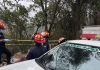 Los cuerpos de las cuatro personas fueron encontrados en un terreno de terracería y según los bomberos, estaban atados de pies y manos. Foto La Hora: Asonbomd