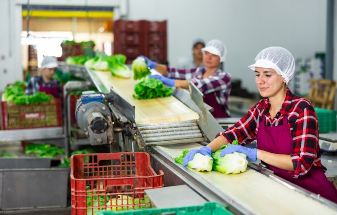 Todos los trabajadores en relación de dependencia tienen derecho a recibir el pago del Bono 14. Foto La Hora: BearFotos/Shutterstock