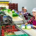 Todos los trabajadores en relación de dependencia tienen derecho a recibir el pago del Bono 14. Foto La Hora: BearFotos/Shutterstock