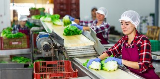 Todos los trabajadores en relación de dependencia tienen derecho a recibir el pago del Bono 14. Foto La Hora: BearFotos/Shutterstock